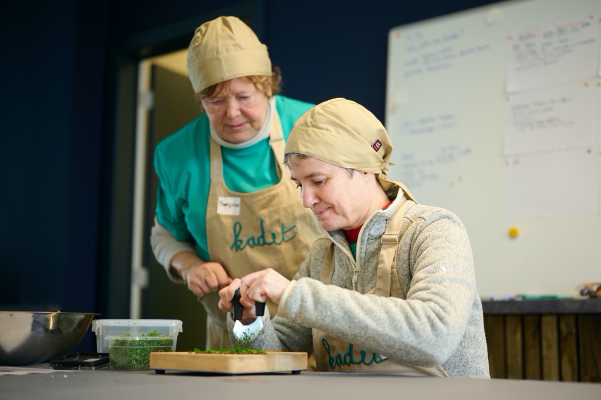 Buitengewone bediening